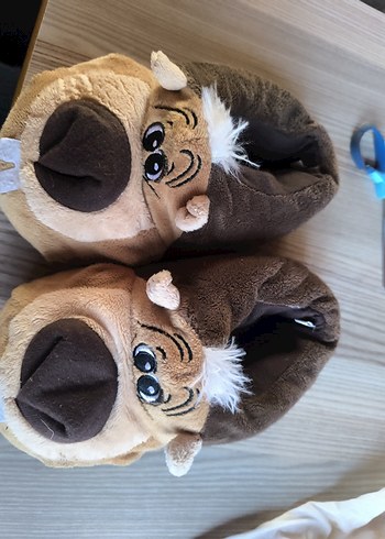 LC Waikiki çocuk panduf