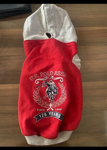 Gri Kapüşonlu Kırmızı Baskılı Köpek Sweatshirt