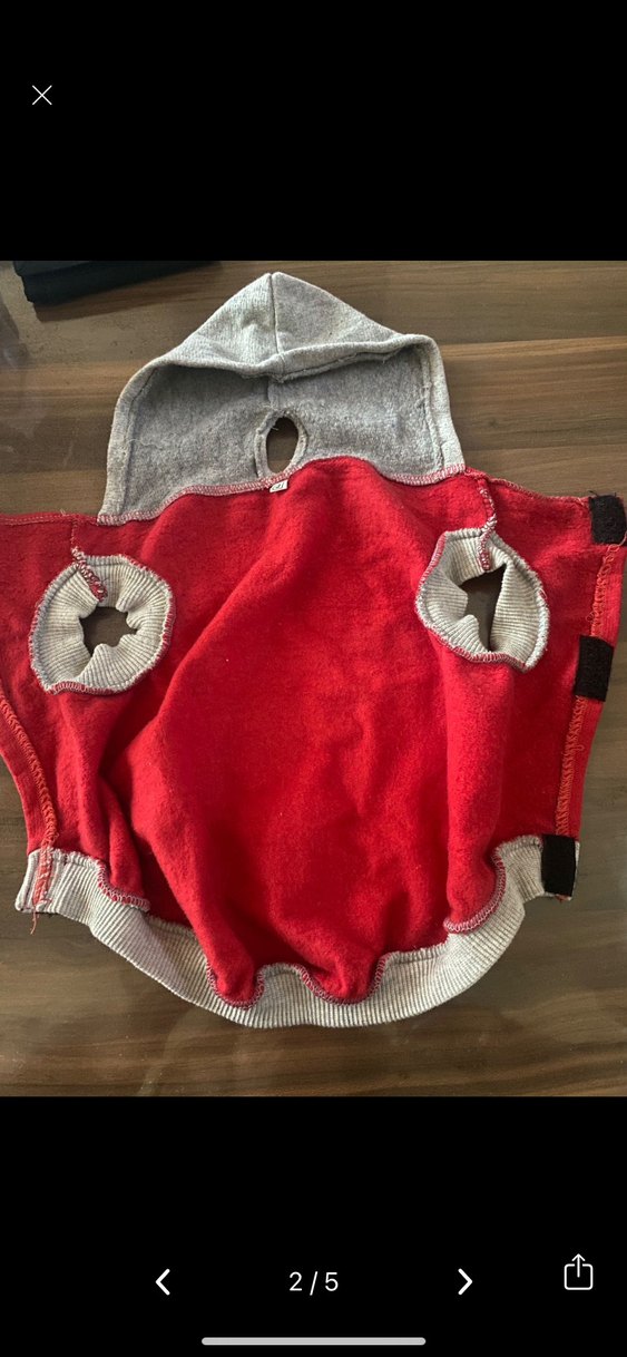 Gri Kapüşonlu Kırmızı Baskılı Köpek Sweatshirt - Görsel 2