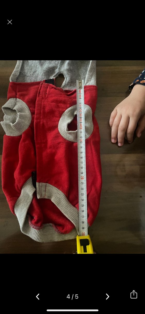 Gri Kapüşonlu Kırmızı Baskılı Köpek Sweatshirt - Görsel 4