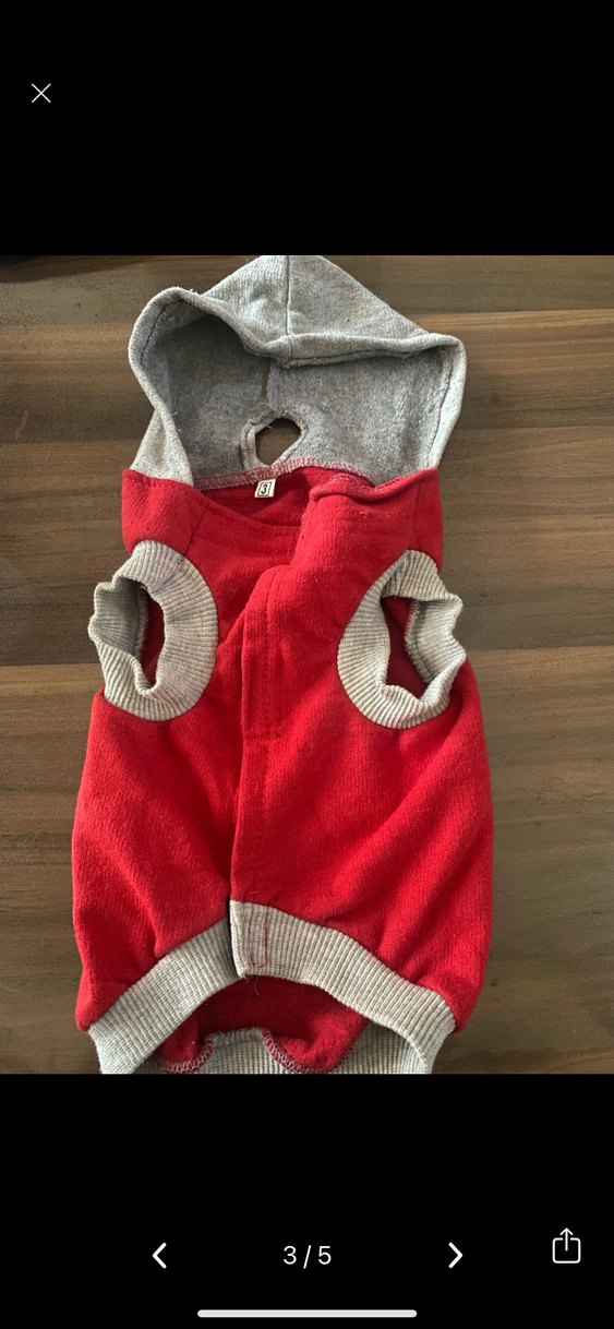 Gri Kapüşonlu Kırmızı Baskılı Köpek Sweatshirt - Görsel 3