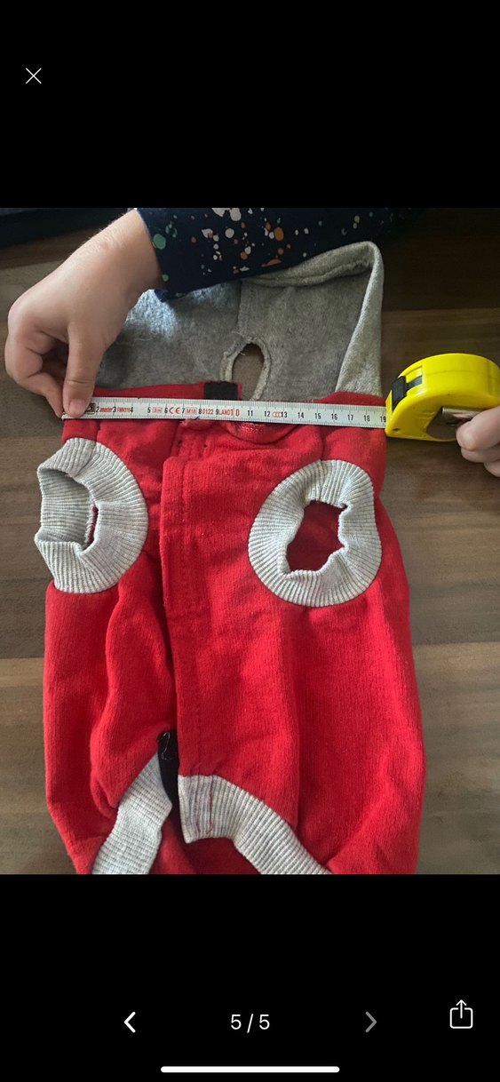 Gri Kapüşonlu Kırmızı Baskılı Köpek Sweatshirt - Görsel 5