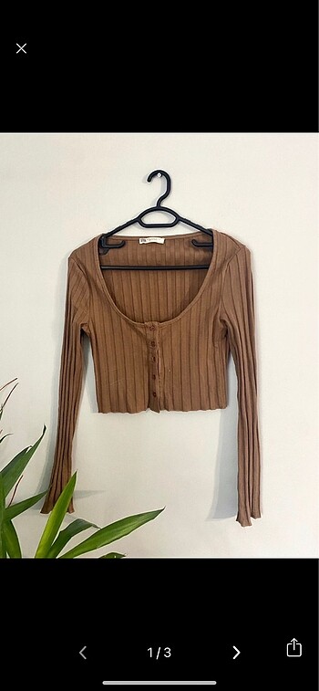 Stradivarius bluz