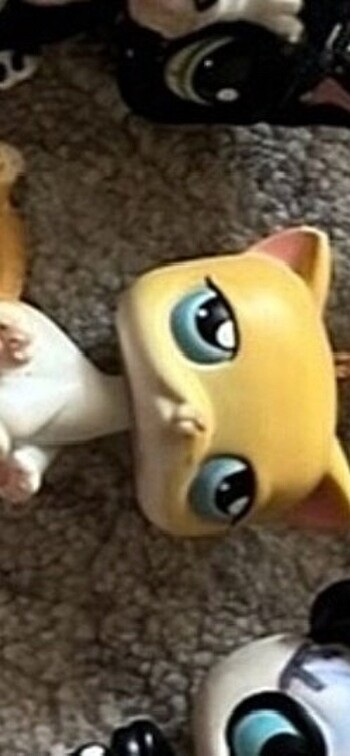  lps minis