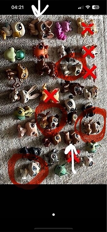 lps minis