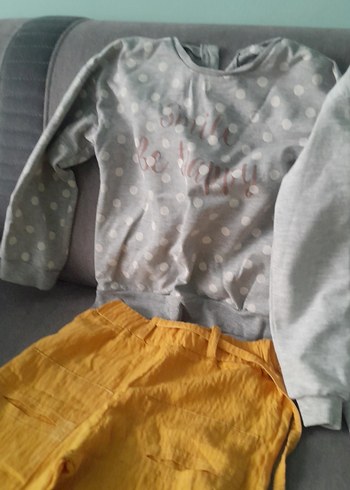 4 Yaş Beden gri Renk Gri Kapüşonsuz Fermuarlı Sweatshirt ve Sarı Keten Pantolon