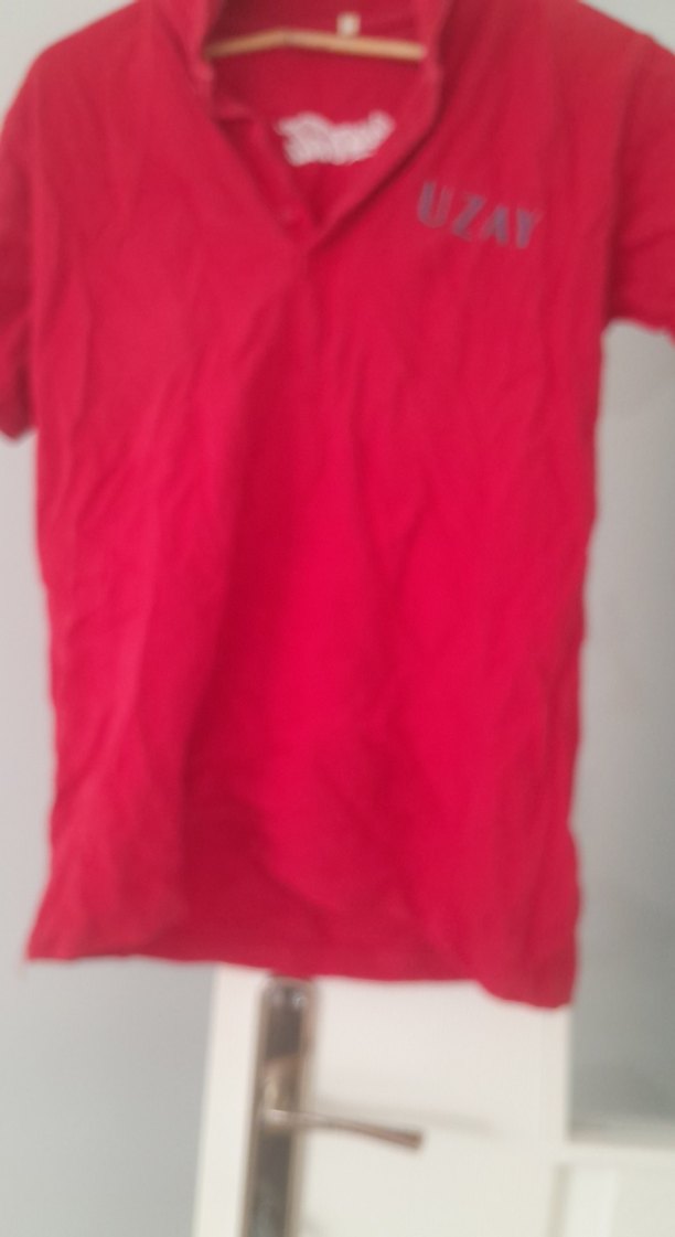 2 adet Kırmızı Uzay Nakışlı Erkek Polo Tişört - Görsel 3