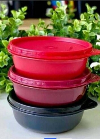 Beden Tupperware