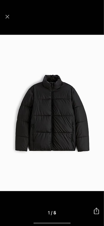 Zara erkek mont