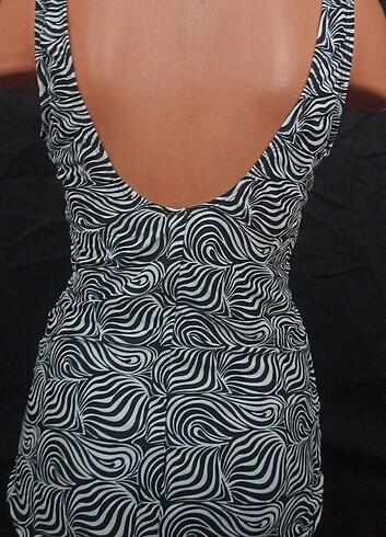 l Beden Zebra mayo