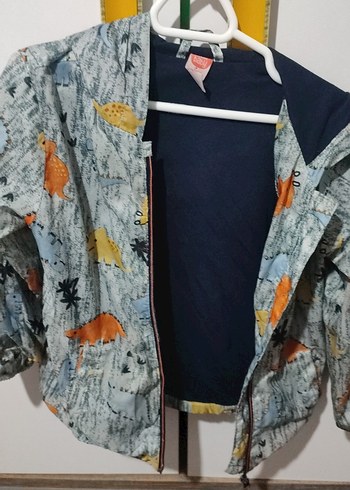 Kapüşonlu Gri Dinozor Desenli Erkek Yağmurluk - Görsel 3