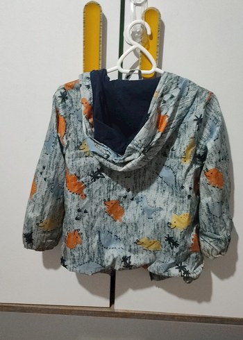 Kapüşonlu Gri Dinozor Desenli Erkek Yağmurluk - Görsel 4