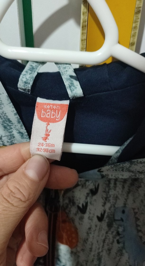 Kapüşonlu Gri Dinozor Desenli Erkek Yağmurluk - Görsel 2