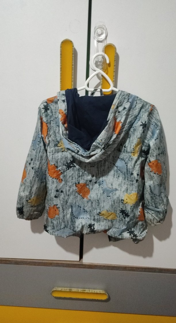 Kapüşonlu Gri Dinozor Desenli Erkek Yağmurluk - Görsel 4