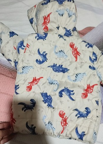 4 Yaş Beden Kapüşonlu Dinozor Baskılı Erkek Çocuk Mont