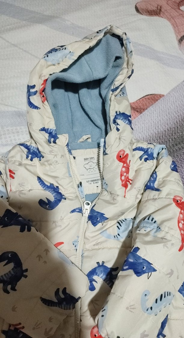 Kapüşonlu Dinozor Baskılı Erkek Çocuk Mont - Görsel 2