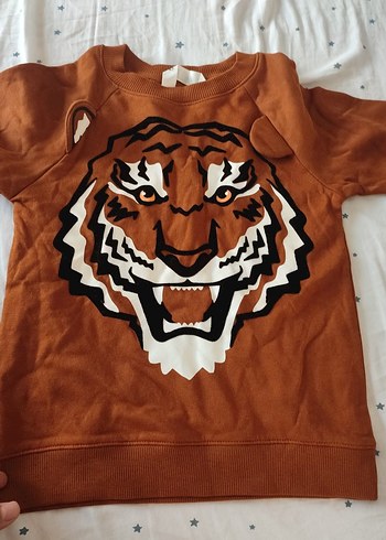 Kahverengi Baskılı Erkek Çocuk Sweatshirt