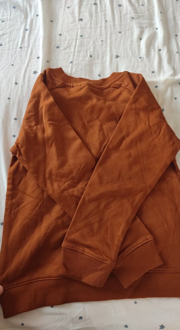 Kahverengi Baskılı Erkek Çocuk Sweatshirt - Görsel 3