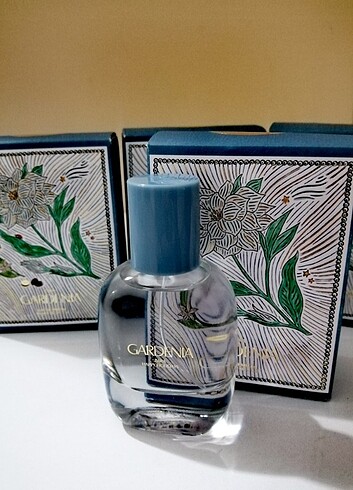 Zara Gardenia 30 ml