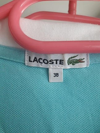 38 Beden Lacoste Tshirt 