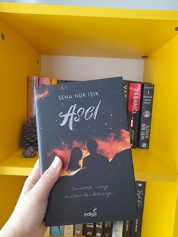 asel kitap
