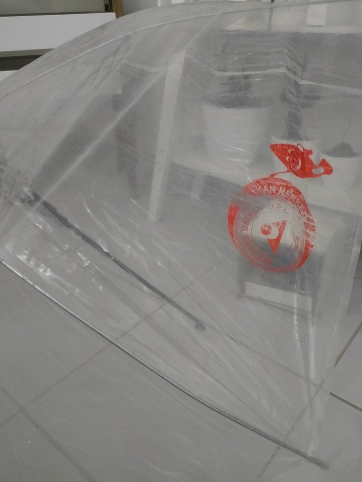 Beyaz Transparan Kadın Şemsiye - Görsel 3