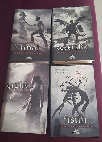 Hush hush serisi