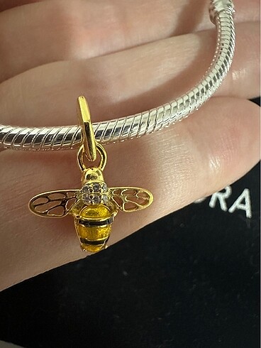  Beden Arı charm