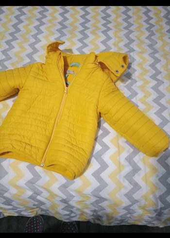 Erkek Çocuk Sarı Kapüşonlu Fermuarlı Mont - Görsel 4