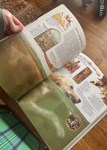 Köpekler Görsel Kitap - Görsel 6