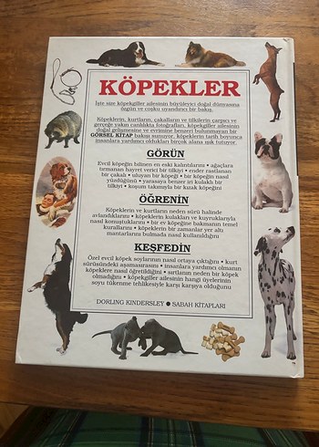 Köpekler Görsel Kitap - Görsel 2