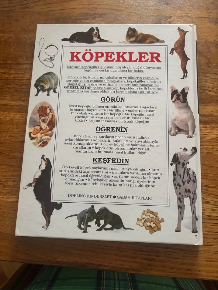 Köpekler Görsel Kitap - Görsel 2