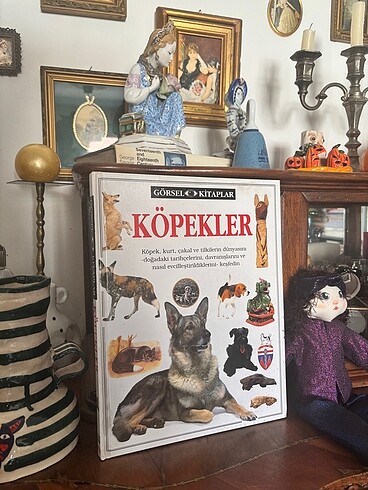 Köpekler kitabı