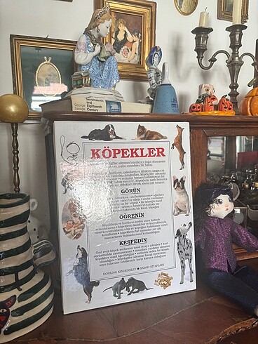 Köpekler kitabı