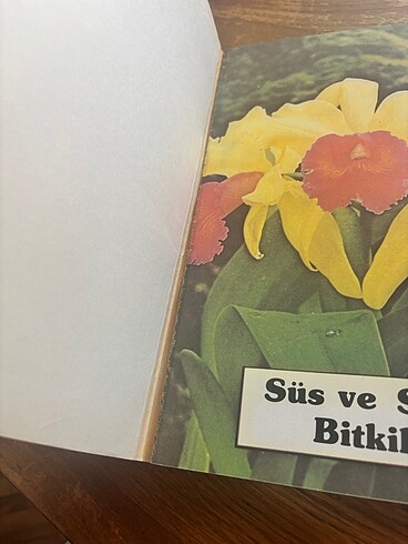 Beden Bitki kitabı
