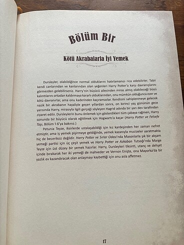  Beden Renk Harry Potter yemek kitabı
