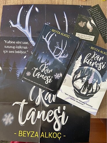 Beyza Alkoç Kar Tanesi ve Kar Küresi