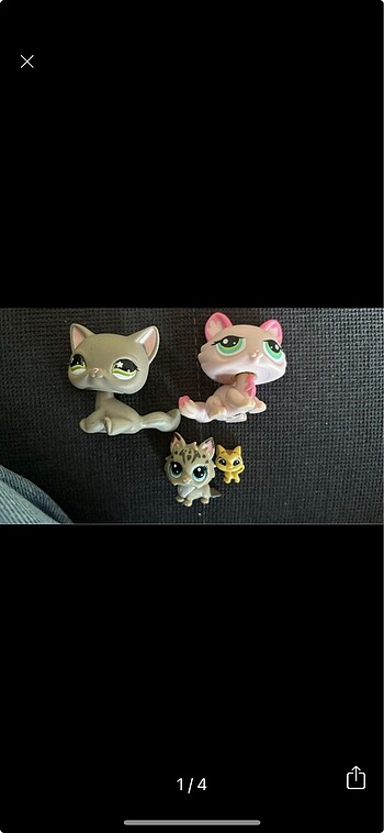 Lps kedi miniş
