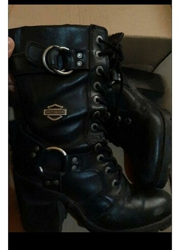 Harley davidson bot