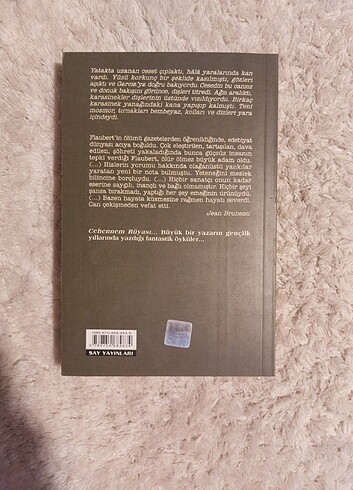 Flaubert - Cehennem Rüyası 375 sayfa