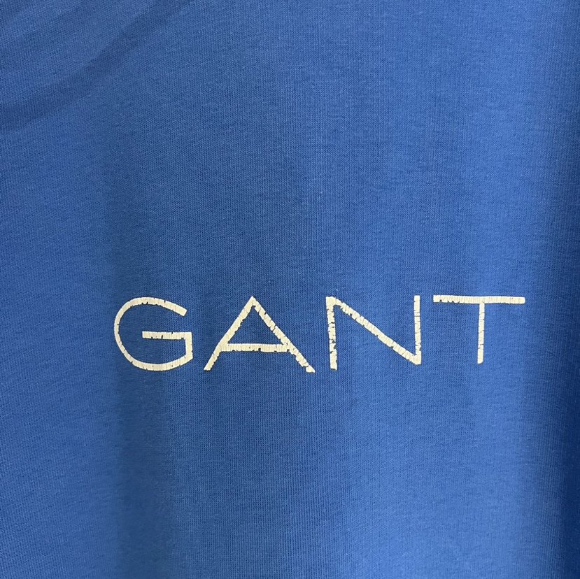 GANT Erkek Mavi Kapüşonlu Sweatshirt - Görsel 2