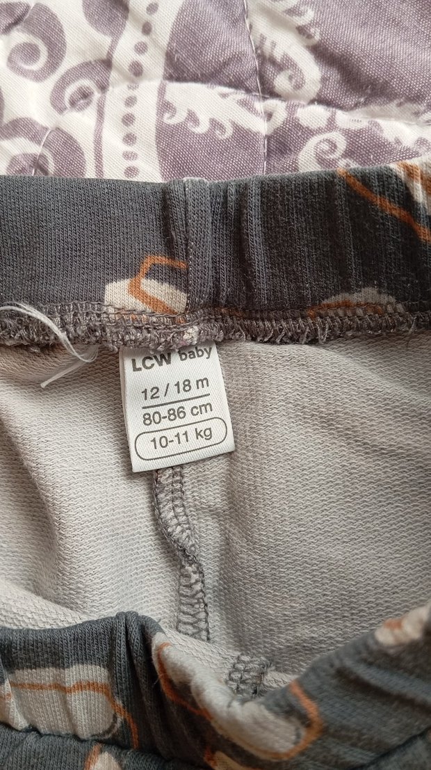 Desenli Gri Erkek Şort - Görsel 2