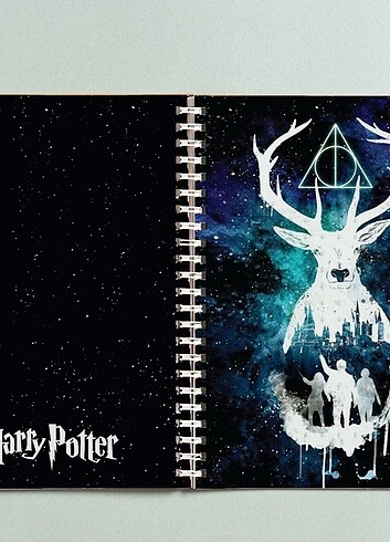 Harry Potter Defter 