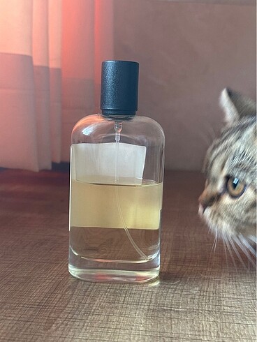  Beden MAD W213 (YSL Beauty - Black Opium)