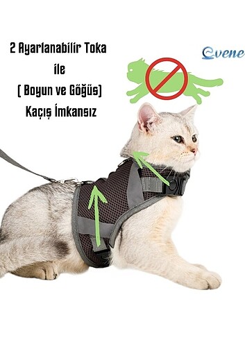 Kedi gezdirme tasmasi