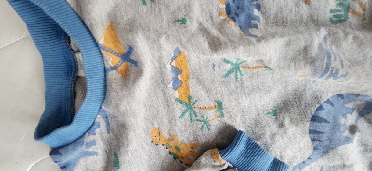 Mavi Yaka ve Paçalı Gri Dinozor Desenli Sweatshirt - Görsel 2