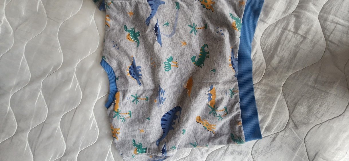 Mavi Yaka ve Paçalı Gri Dinozor Desenli Sweatshirt - Görsel 3