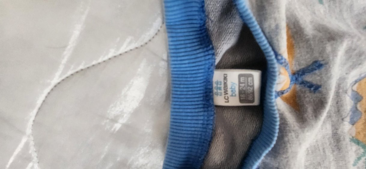 Mavi Yaka ve Paçalı Gri Dinozor Desenli Sweatshirt - Görsel 5