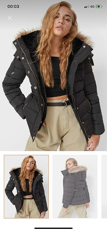 Stradivarius mont