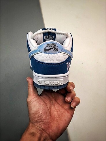Nike Nıke sb dunk